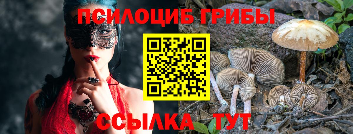 Галлюциногенные грибы GOLDEN TEACHER  Вход с VPN  Новомосковск 